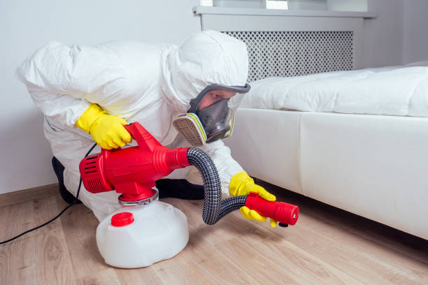 Reliable Hudson Bend, TX Pest control Solutions